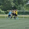 leipziger fc 07 gegen bornaer sv 12.06.2016  6